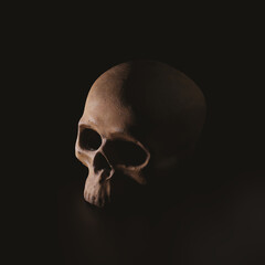 Obraz premium human skull on black background - 3D render