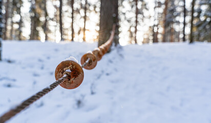 Photo of Outdoor Playground Elements in Forest in Sunny Winter, Abstract Background with Selective Focus