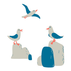 Cartoon atlantic seabird. 3gulls and stones in a vector flat style. Marine composition for print, cards.