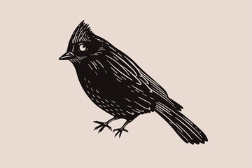 Engraving impression of black waxwing. Forest bird in style of screen printing. Element for design of postcards, books, packaging. Vector illustration on light isolated background.