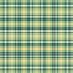 Tartan plaid pattern with texture and nature color.