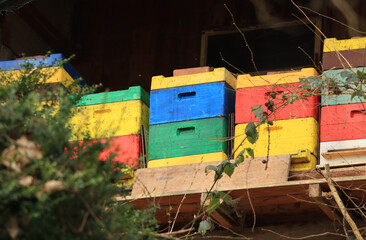 Colorful plastic boxes