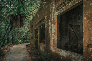 Fototapeta na wymiar wrecked and abandoned house in the woods