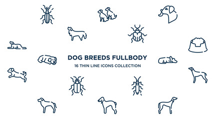concept of 16 dog breeds fullbody outline icons such as null, dog licking, null, pet dish, sad dog, greyhound, null, bedlington terrier, saluki vector illustration.