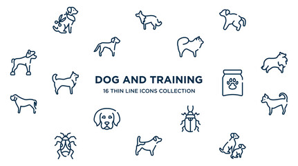 concept of 16 dog and training outline icons such as grooming pet, scold the dog, chow chow, sheltie, treat, chihuahua, pollen beetle, jack russel terrier, dog and doggie vector illustration.
