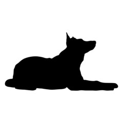 Black silhouette of a dog on a white background.