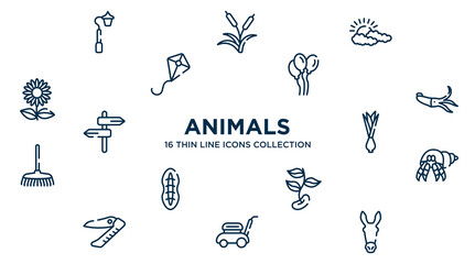 concept of 16 animals outline icons such as streetlight, cloudy, balloons, squid, onion, hermit crab, beans, lawn mower, donkey vector illustration.