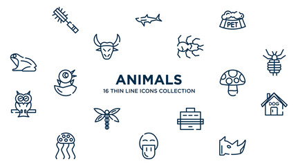 concept of 16 animals outline icons such as pet brush, pet bowl, tarantula, louse, mushroom, dog house, pet carrier, platypus, rhinoceros vector illustration.