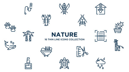 concept of 16 nature outline icons such as teasing stick, veterinary, crioceris, cactus, scanning, giraffe, groomer, turtle, thunderstorm vector illustration.