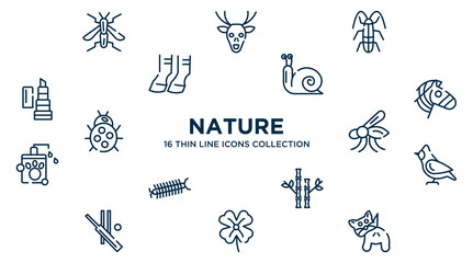 concept of 16 nature outline icons such as wasp, cockroach, snail, zebra, mosquito, cardinal, bamboo, clover, null vector illustration.