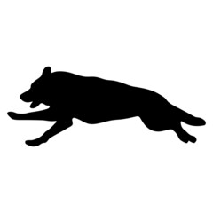 Black silhouette of a dog on a white background.