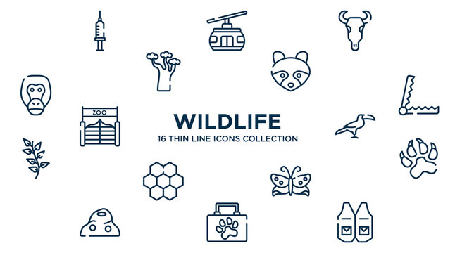 concept of 16 wildlife outline icons such as syringe, bull skull, racoon, trap, toucan, pawprints, butterflies, animal aid, waistcoat vector illustration.
