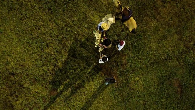 Jineteada de caballo