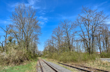 Fototapeta premium Gleis, Schienen, Anschlussgleis, Normalspur, Gleisbett, Schotter, Schotterbett, Schwelle, Beton, Holz, Eisen, vermodert, stillgelegt, zweigleisig, Rost, rostig, historisch, Eisenbahn, Moos, vermoost, 