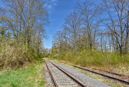 Gleis, Schienen, Anschlussgleis, Normalspur, Gleisbett, Schotter, Schotterbett, Schwelle, Beton, Holz, Eisen, vermodert, stillgelegt, zweigleisig, Rost, rostig, historisch, Eisenbahn, Moos, vermoost, 