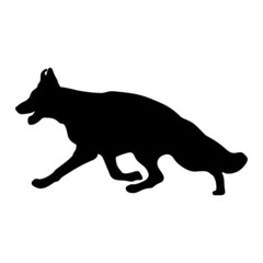 Black silhouette of a dog on a white background. Vector image.