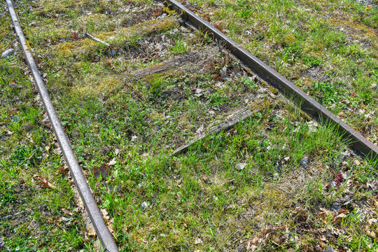 Gleis, Schienen, Anschlussgleis, Normalspur, Gleisbett, Schotter, Schotterbett, Schwelle, Beton, Holz, Eisen, vermodert, stillgelegt, zweigleisig, Rost, rostig, historisch, Eisenbahn, Moos, vermoost, 