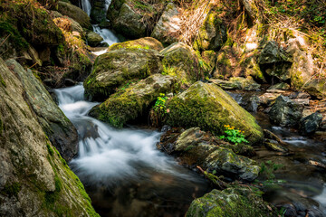 Fototapeta na wymiar Nagelsteiner Wasserfälle Bayerischer Wald