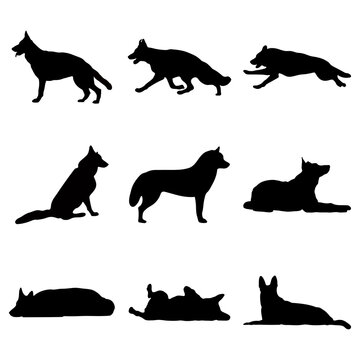 Black silhouettes of dogs on a white background. Vector image.