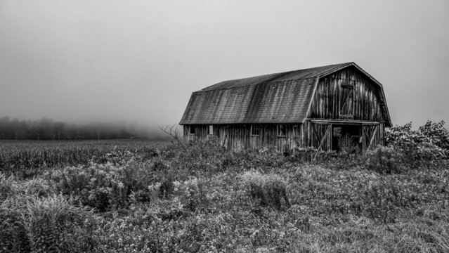 old barn in the morning