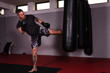 MMA Boxer training. gym training