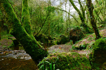 Sentiero delle Mole, Barbarano Romano, Lazio Italia