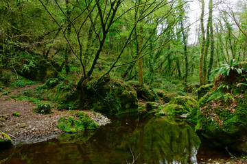 Sentiero delle Mole, Barbarano Romano, Lazio Italia