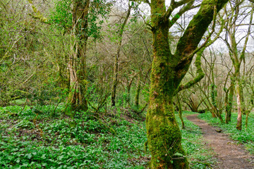Sentiero delle Mole, Barbarano Romano, Lazio Italia