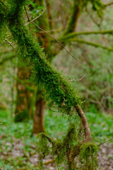 Sentiero delle Mole, Barbarano Romano, Lazio Italia
