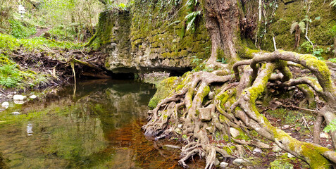 Fototapeta premium Sentiero delle Mole, Barbarano Romano, Lazio Italia