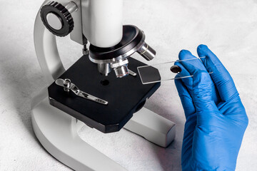 Research in medical laboratory with microscope equipment, close up