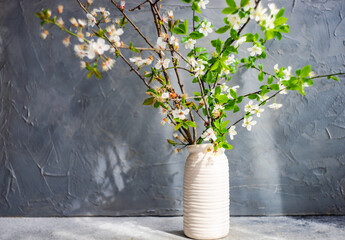 Blooming cherry tree branches in the vase