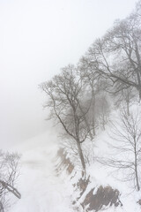 Obraz na płótnie Canvas Covered with snow Caucasus mountain