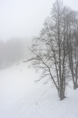 Fototapeta na wymiar Covered with snow Caucasus mountain