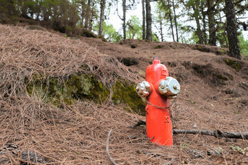Red water hydrant in a coniferous forest, wildfire prevention, emergency equipment, pine wood on El...