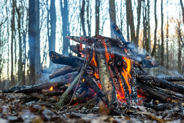 Campfire in the spring forest. Rest on the weekend. Danger of forest fires