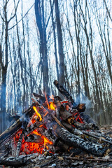 Campfire in the spring forest. Rest on the weekend. Danger of forest fires