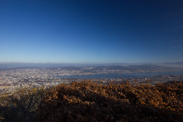 panorama view over the city of Zurich