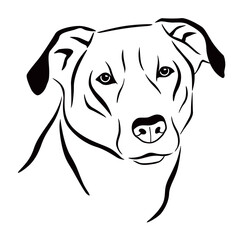 Linear portrait of a dog. Black and white vector graphics