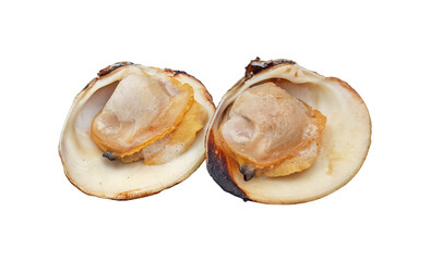 Grilled sea scallops on a white background