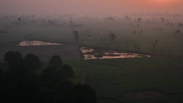 Rukanpur, Rahim Yar Khan, Punjab, Pakistan -  A beautiful view of Foggy weather and green fields in Winter season. Green wheat field and foggy weather