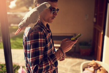 Buds of a feather flock together. Shot of a young man using his phone with his pet parrot perched on his shoulder. © Ruan Jordaan/peopleimages.com