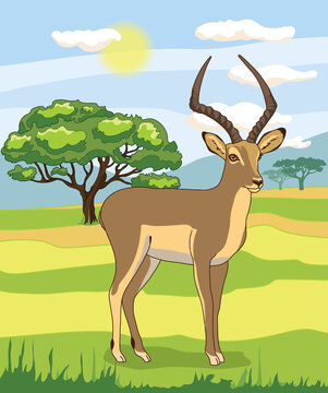 Savanna landscape Nature park, tropical safari with a gazelle, green trees 
