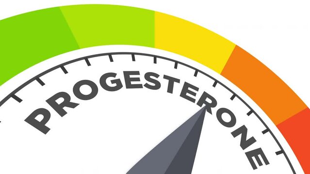 progesterone level measuring device animation.zoom effect.Infographic gauge, tachometer, speedometer.