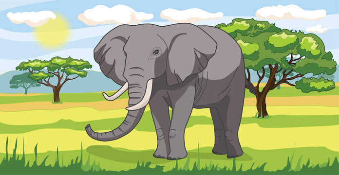 Savanna landscape Nature park, tropical safari with a elephant, green trees 