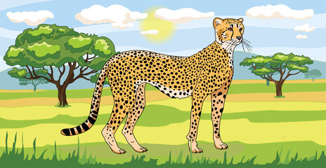 Savanna landscape Nature park, tropical safari with a cheetah, green trees 