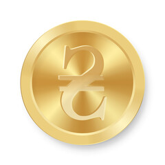 Gold coin of ukrainian Hryvnia currency Concept of internet currency