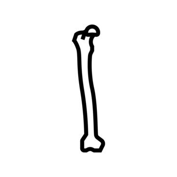 femur bone line icon vector. femur bone sign. isolated contour symbol black illustration