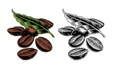 Coffee beans and leaf isolated on white background. Color and monochrome versions. Engraving style vector illustration. Good for cafe menu, coffee label or packaging.