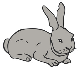 Vector illustration of grey rabbit. Hand drawn isolated bunny.